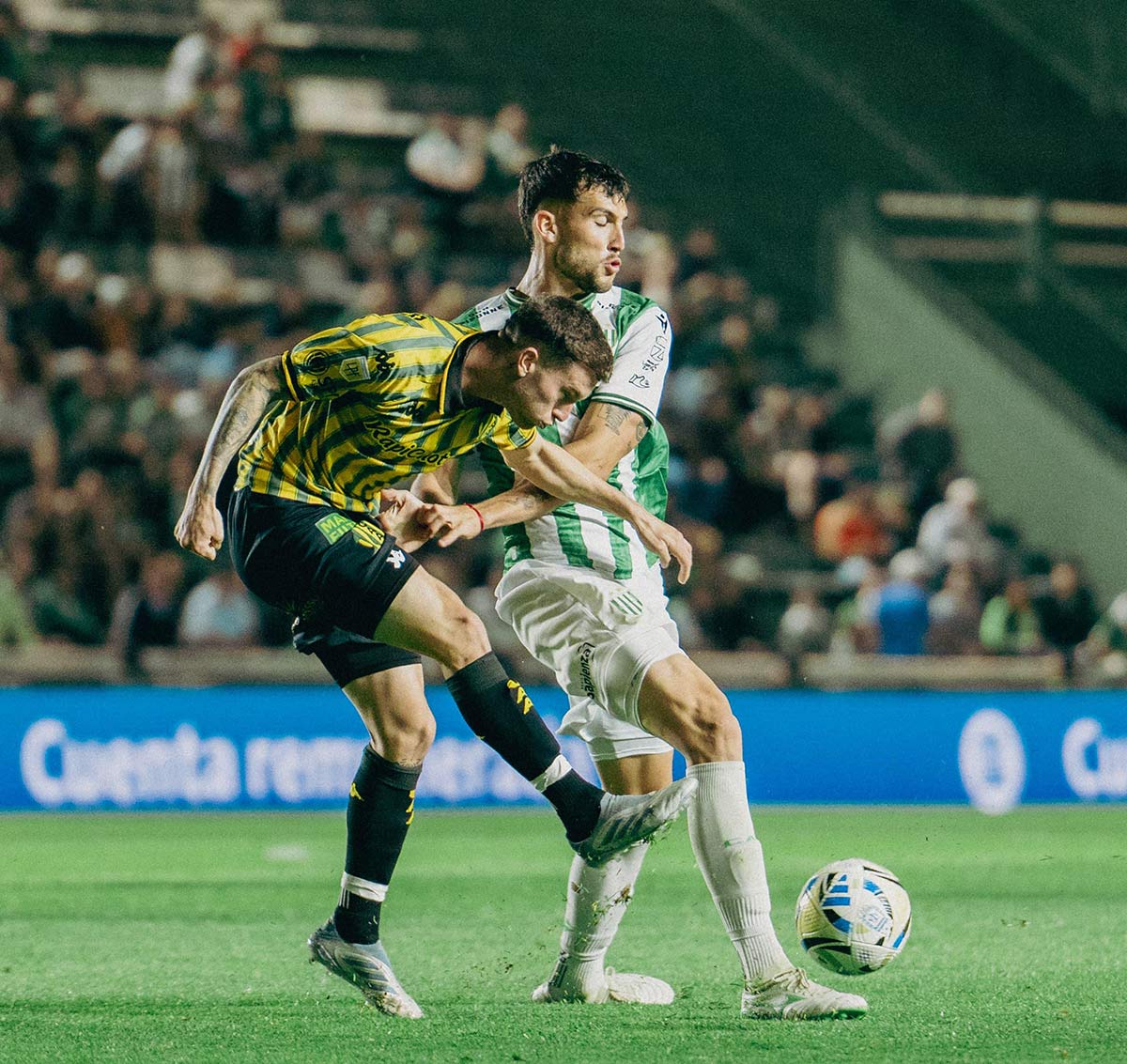 banfield aldosivi clausura 2025